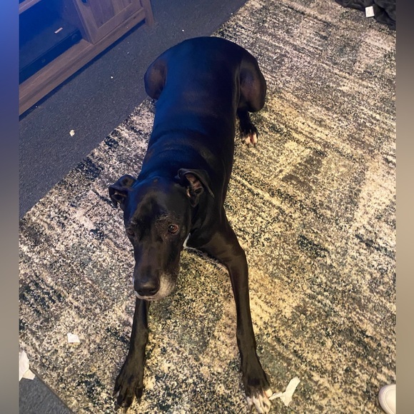 Meet your Posher, Lauren!! - Picture 6 of 10